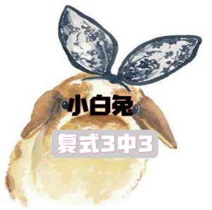 178期小白兔复式三中三-澳门国际
